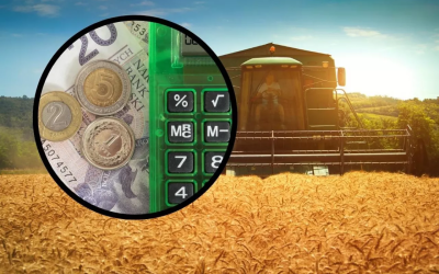 Rozpoczęcie skupu 2025